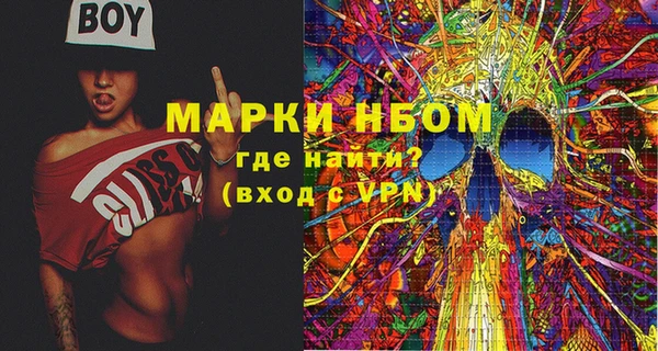 индика Лихославль