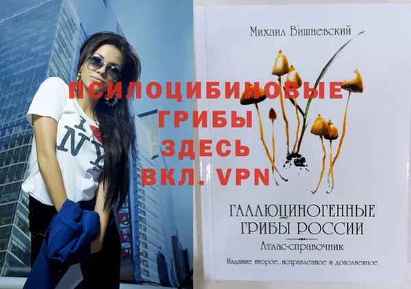 соль ск Майский