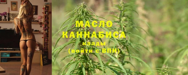 индика Лихославль