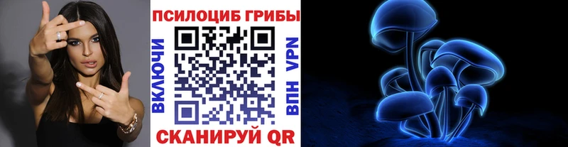 Псилоцибиновые грибы Psilocybine cubensis  даркнет сайт  Урюпинск 