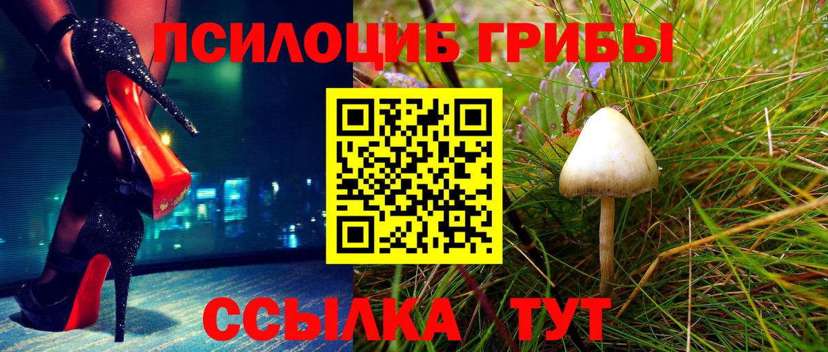 Галлюциногенные грибы мицелий  Урюпинск 