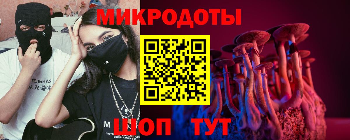 Урюпинск  Псилоцибиновые грибы ЛСД  Вход с VPN  Галлюциногенные грибы Cubensis 